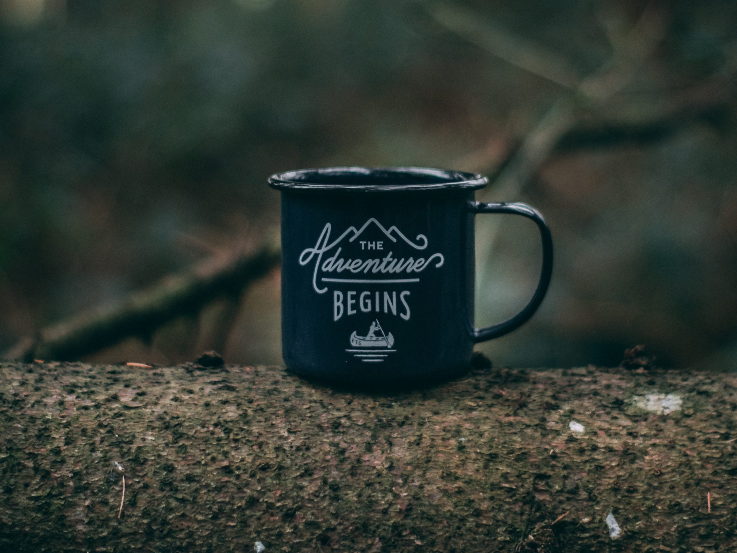FeG-Freiburg_Ole-Witt_unsplash FeG-Freiburg_Ole-Witt_unsplash
